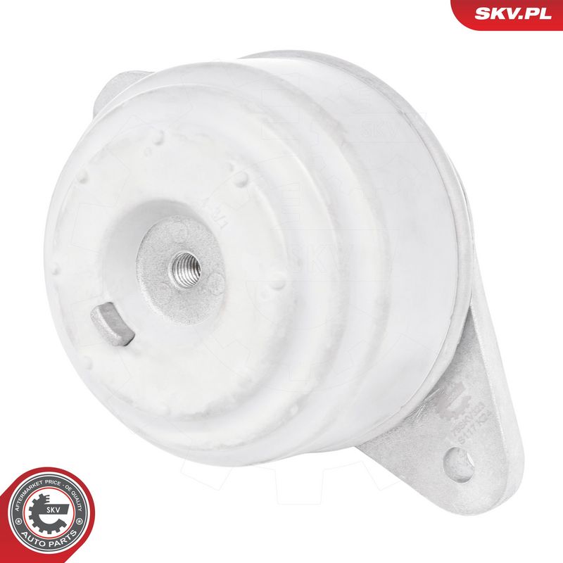 Paigutus, Mootor, ESEN SKV 75SKV323