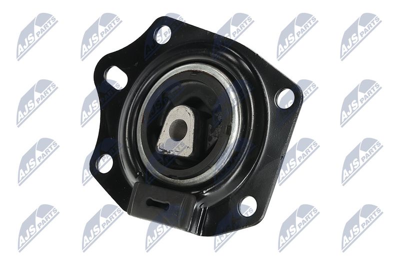 Paigutus, Mootor, NTY ZPS-CH-014