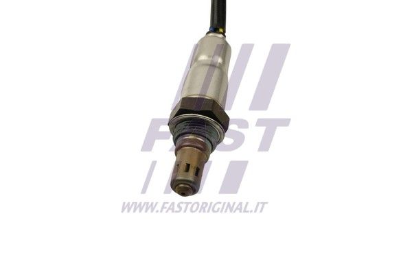 FT54112_2_1.JPG