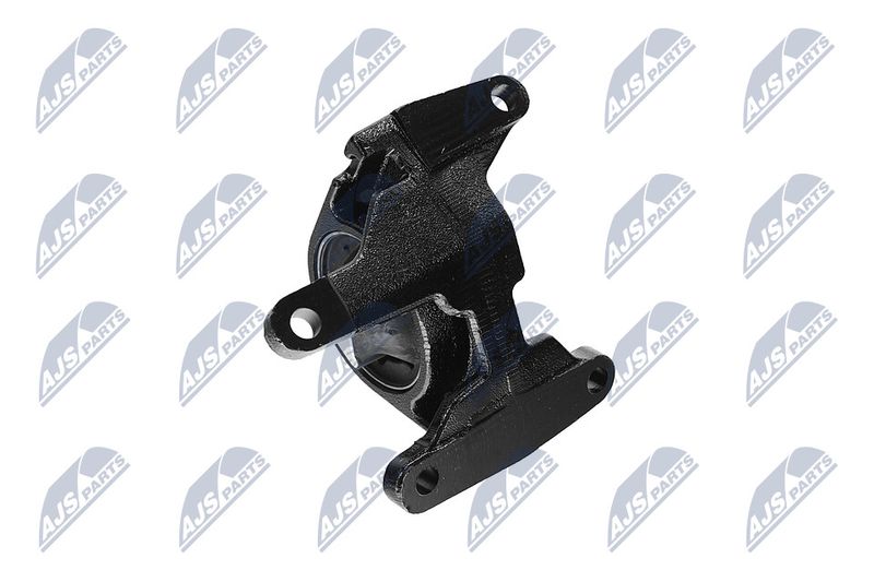 Paigutus, Mootor, NTY ZPS-CH-087