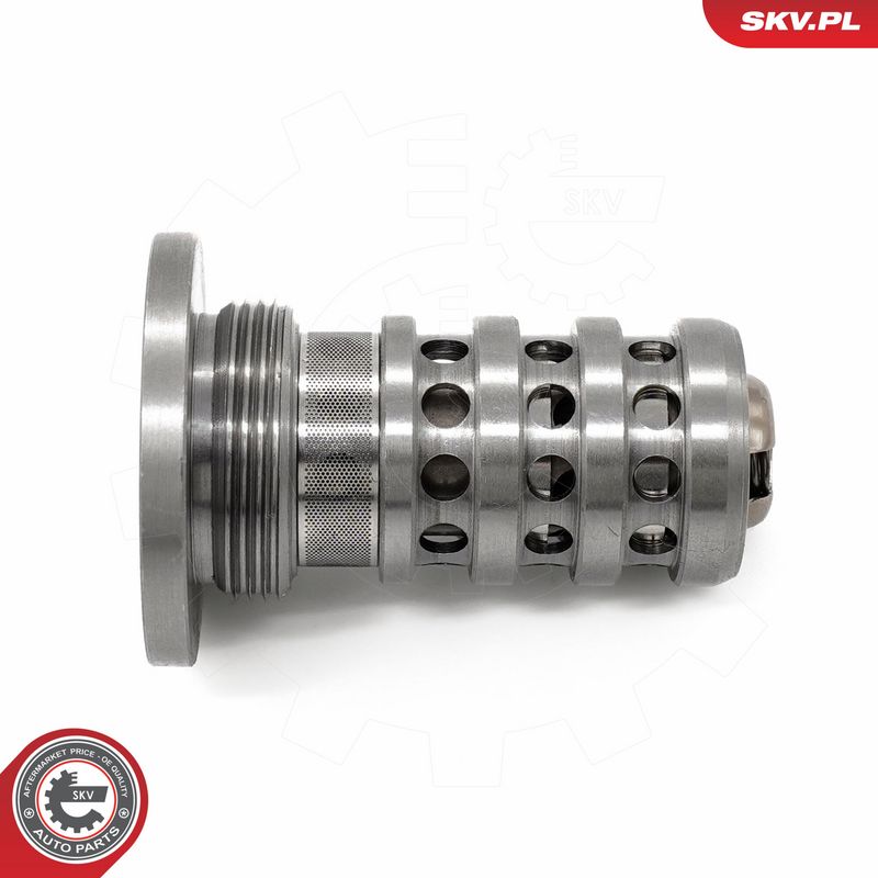 Prekės atitinka OEM kodą: 06L 109 257F