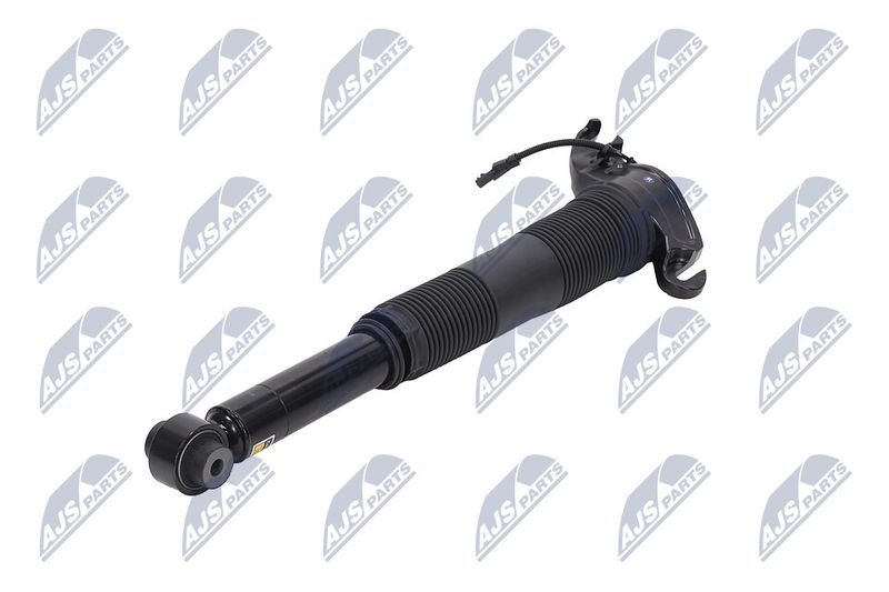 Amort, NTY A-LR-022