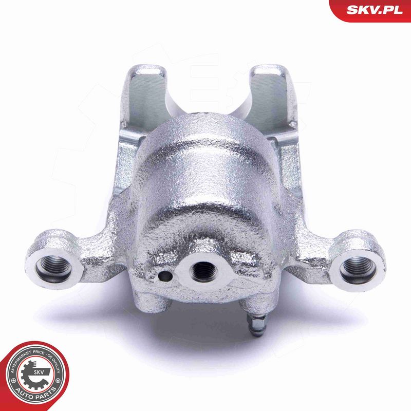ESEN SKV 55SKV483 Brake Caliper