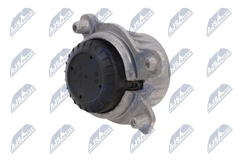 Paigutus, Mootor, NTY ZPS-ME-031