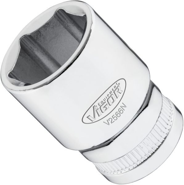 Padrun, VIGOR V2566N