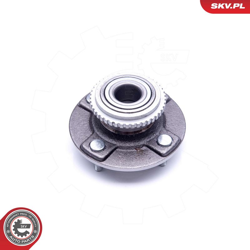 Rattalaagrikomplekt, ESEN...