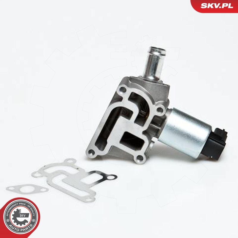 EGR-klapp, ESEN SKV 14SKV030