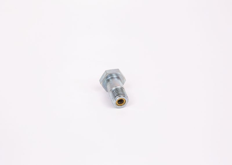 Surub 1 463 456 344 BOSCH