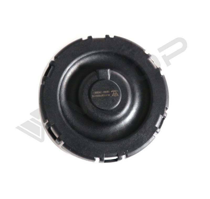 WXQP 250347 Valve, Engine Block Breather