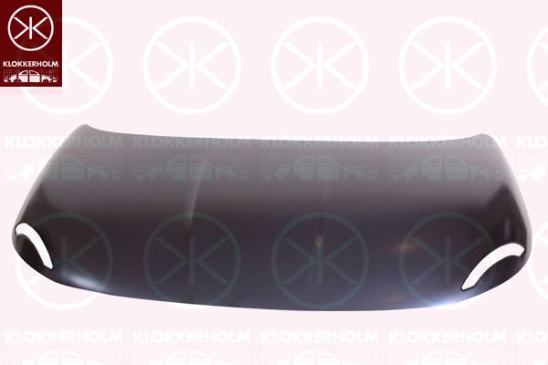 KLOKKERHOLM Gaubtas