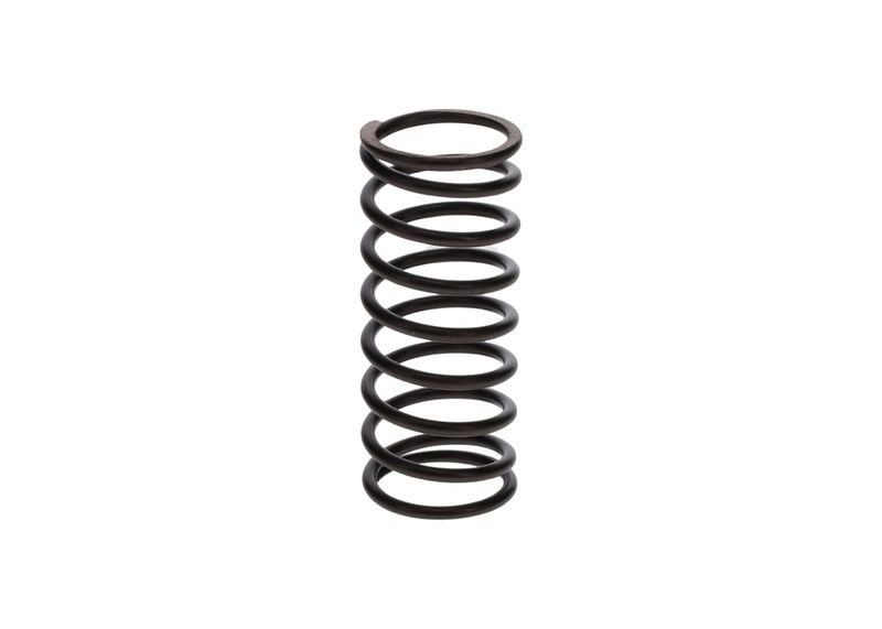 Arc 1 424 631 005 BOSCH