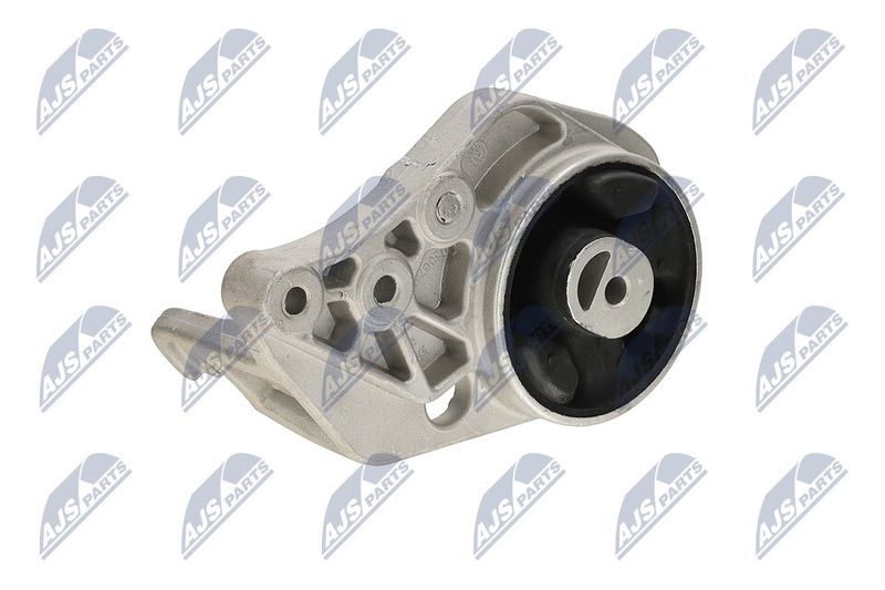 Paigutus, Mootor, NTY ZPS-CH-113