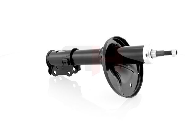 Amort, GH GH-323421H