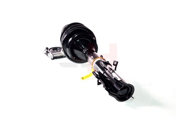 Vedruamort, GH GH-353389C02