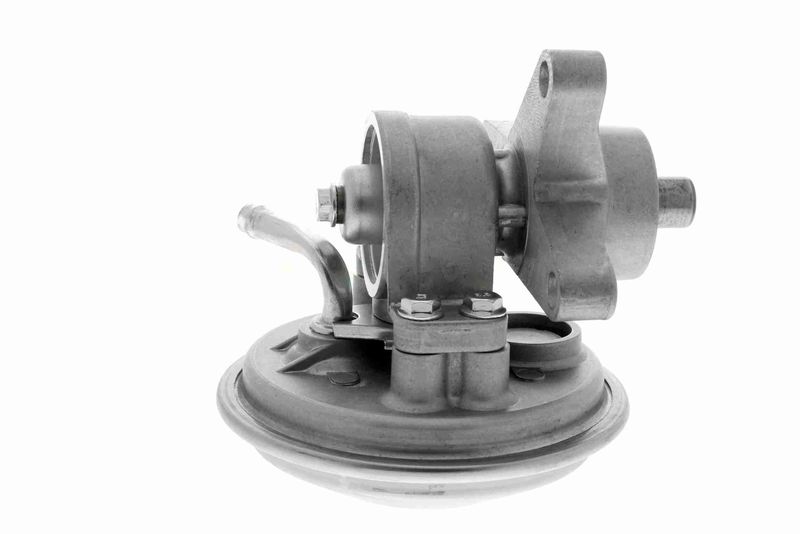 VAICO V25-1907 Mounting, engine