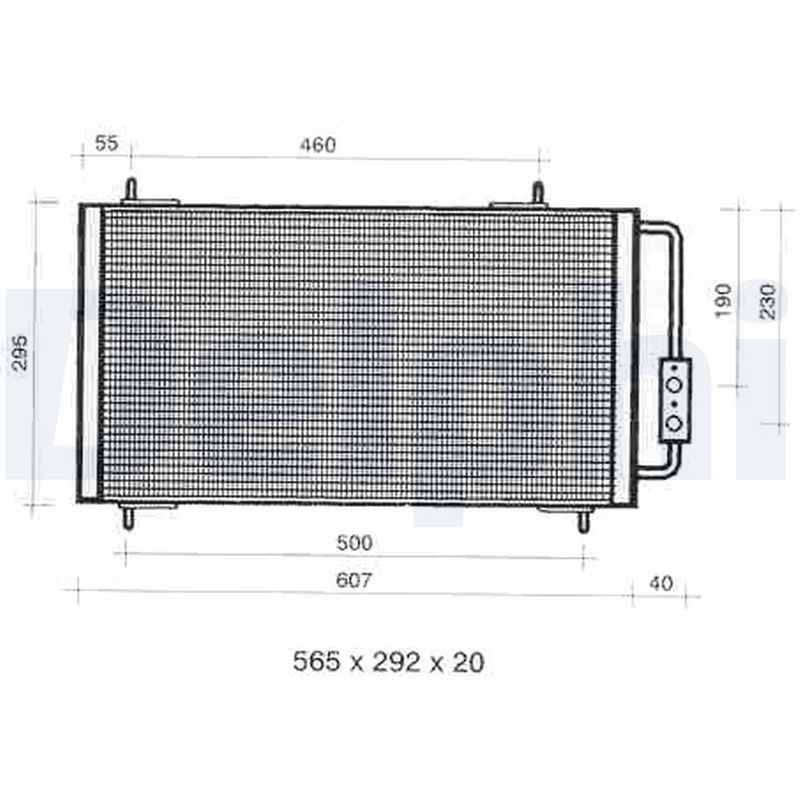 TSP0225331.JPG