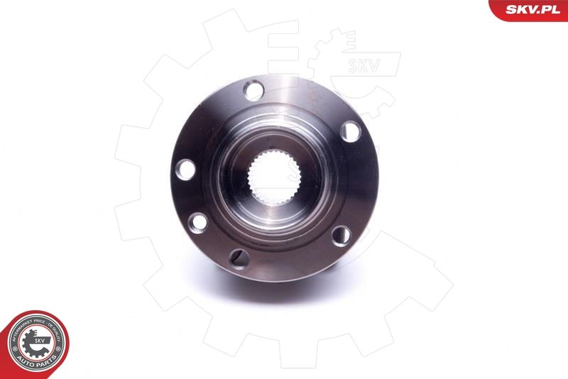 ESEN SKV 29SKV491 Wheel Bearing Kit