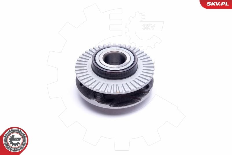 ESEN SKV 29SKV347 Wheel Bearing Kit