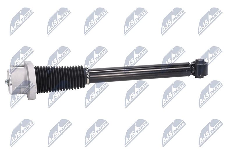 Amort, NTY A-LR-015