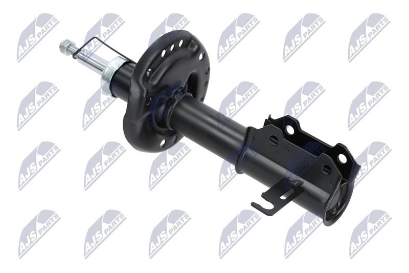 Amort, NTY A-PL-029