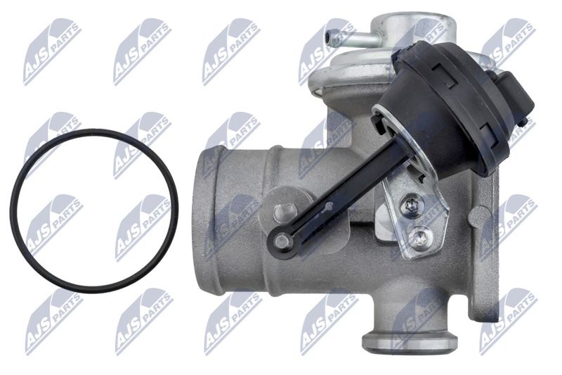 EGR-VW-062_3-WM.JPG