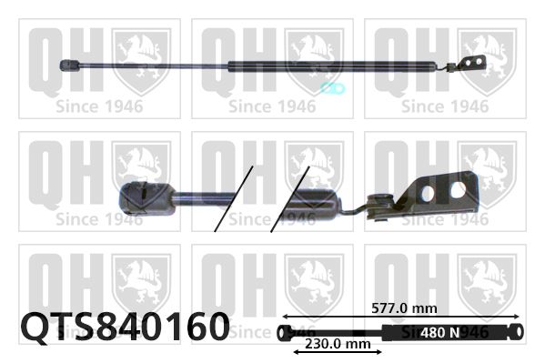 QUINTON HAZELL gázrugó, csomag-/poggyásztér QTS840160