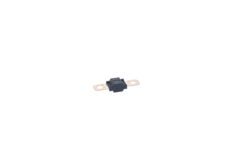BOSCH 1987531011 Fuse