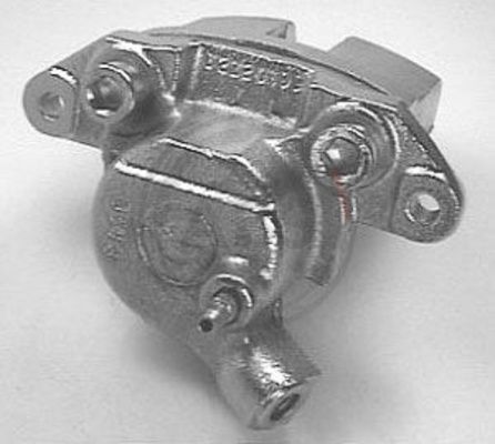 521501.JPG