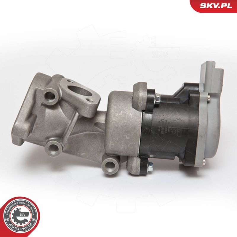 ESEN SKV 14SKV073 EGR Valve