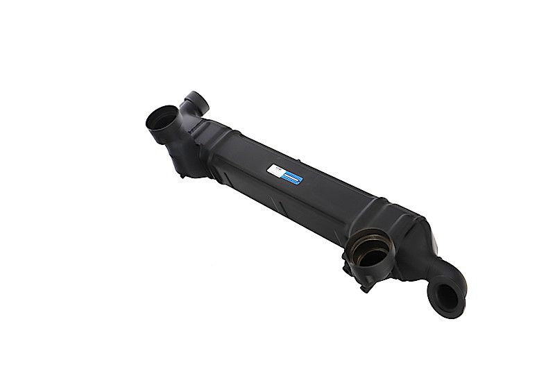 REMANTE 010-001-000039R EGR Module