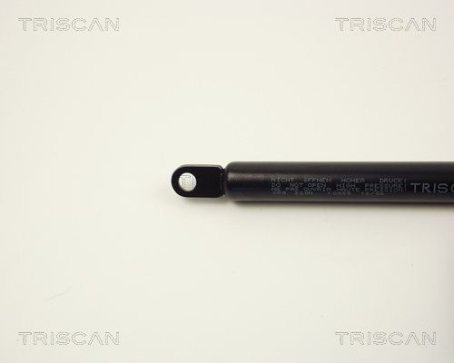 TRIS8710389_2.JPG