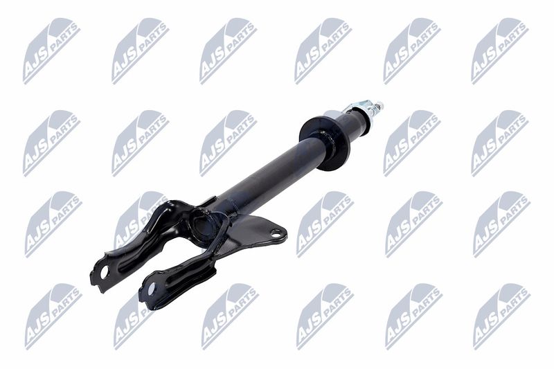 Amort, NTY A-CH-082