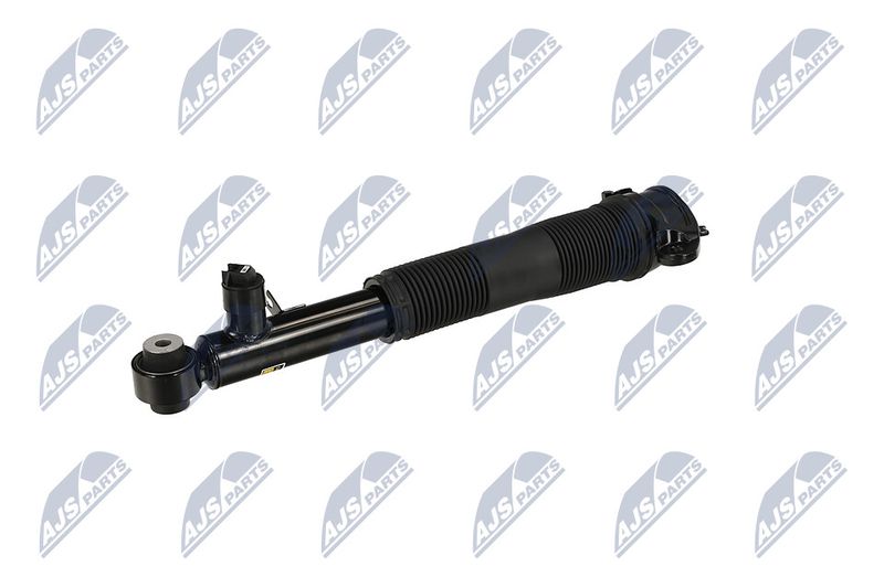 Amort, NTY A-LR-037