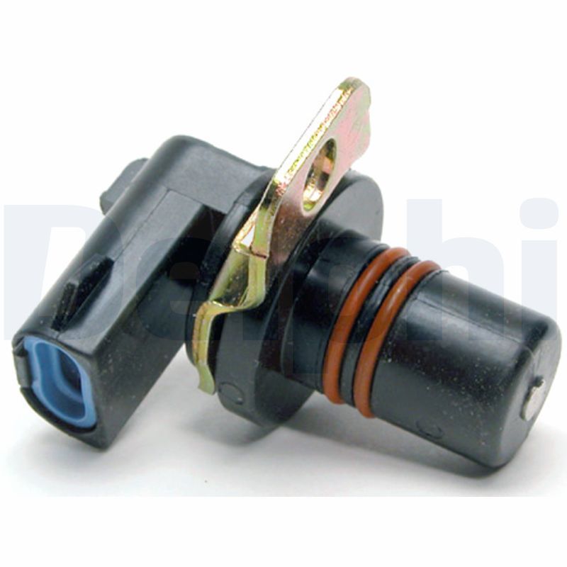 SS10570.JPG