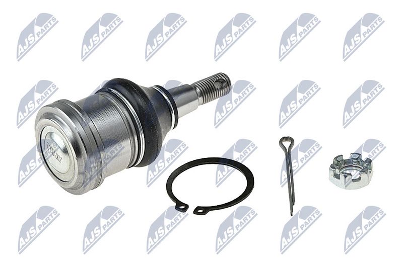 Kande-, juhtliigend, NTY ZSD-CH-002