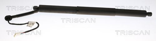 TRISCAN Gasveer, kofferruimte 8710 11308