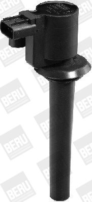 BorgWarner (BERU) ZS389 Ignition Coil