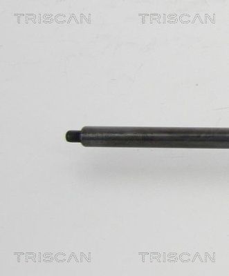 TRIS87101022551900_3.JPG