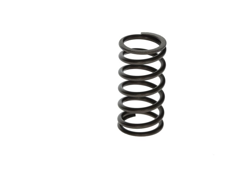 BOSCH F00N201853 Spring