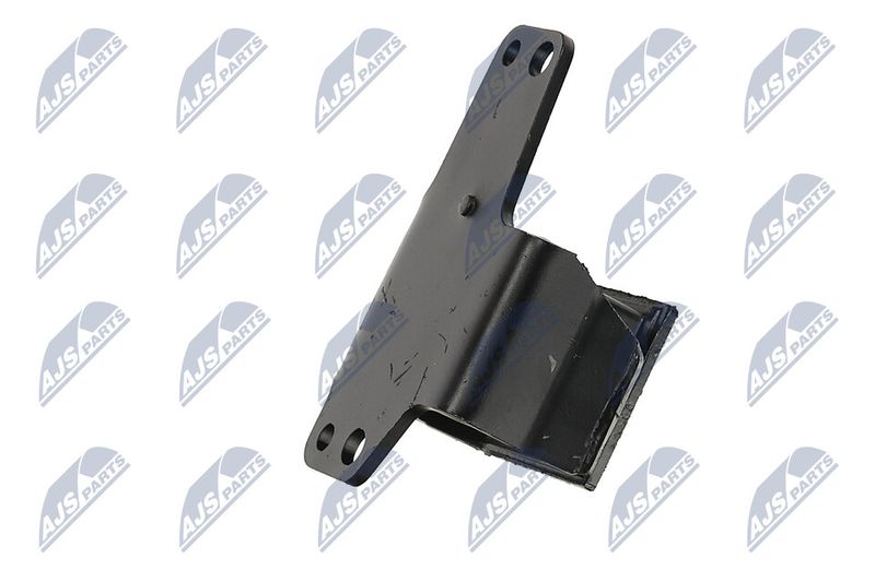 Paigutus, Mootor, NTY ZPS-NS-100