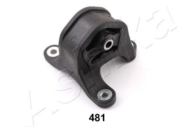GOM-481_1.JPG