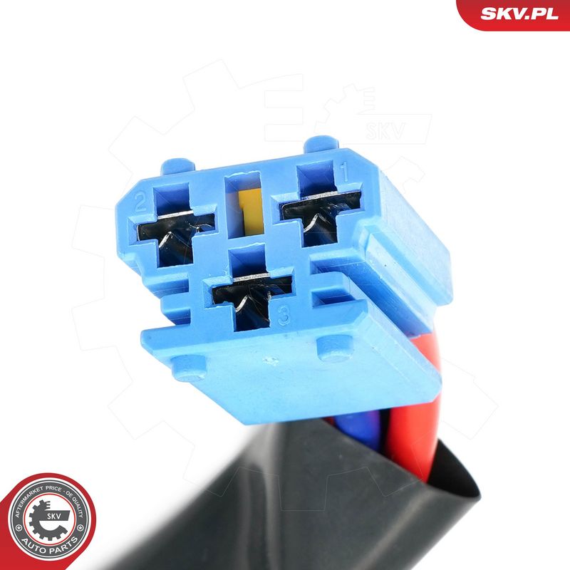 Roolilukk, ESEN SKV 65SKV221