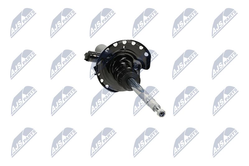 Amort, NTY A-LR-033