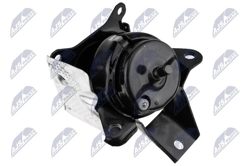 Paigutus, Mootor, NTY ZPS-CH-151