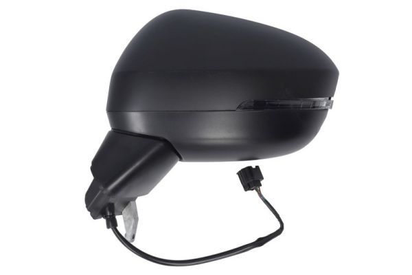 BLIC 5402-16-2384310P Exterior Mirror