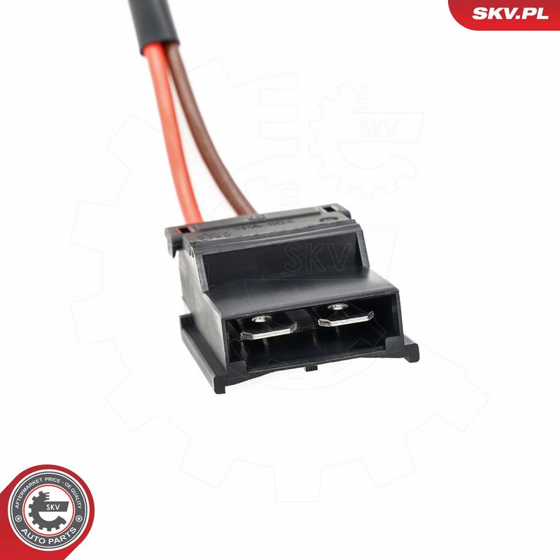 Salongipuhur, ESEN SKV...