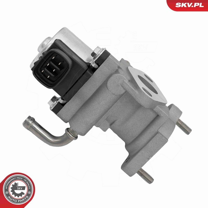 ESEN SKV 14SKV319 EGR Valve