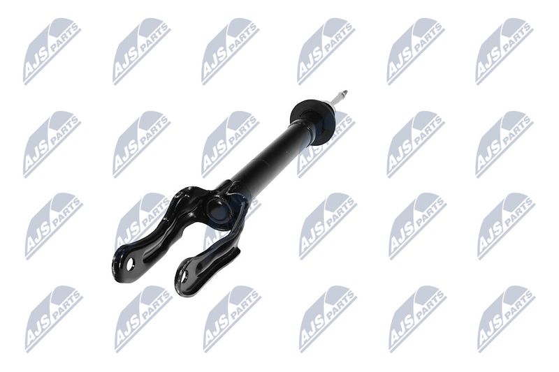 Amort, NTY A-CH-079