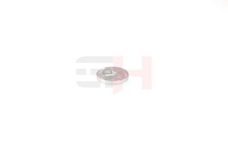 caster shim, sillatala, GH GH-391583