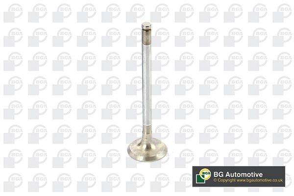 BGA V164989 - Exhaust Valve